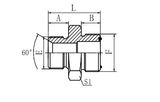 Hydraulic Fitting 1BF