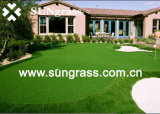 30mm High Quality Artificial Turf for Recreation/Landscaping (QDS-2014N)