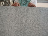 Polished Stone Shandong White Pearl Granite G3765 for Floor Tile