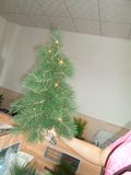 Xmas Tree (LS-T16'')