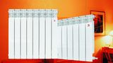 Aluminum Radiator (BST-600A-003)