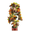 Hot Sale High Simulation Artificial Green Plants