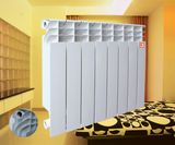 Radiator (BST-500C-003)