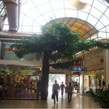 Artificial Large Ficus Tree for Decor Indoor Pedestrian Mall  Tree (SJ2536)
