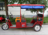 800W Brushless Motor Electric Tricycle