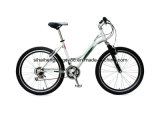 Lady Good Quality Mountain Bicycle for Sale (SH-MTB246)