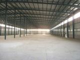 Steel Industrial Structure Building (NTSSB-007)