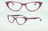 Cat Shape Acetate Frame Fashion Eyewear (H529)