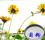Inulin Chicory Extract Inulin 99%