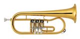 Rotary Flugelhorn