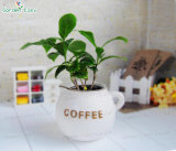 Ceramic Pot (002002) , White Planter, Garden Planter