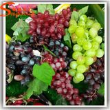 Home Decoration Plastic Artificial Grape Fruit