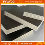 Plywood Film Faced for Concrete Formwork