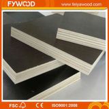 Plywood Film Faced for Concrete Formwork