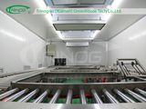 Commercial Mushroom Farm for Sale