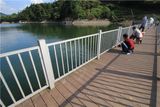 Pontoon Wood Decking Lumber Outdoor Use WPC Flooring Timber