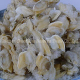 Yummy Individual Quick Frozen Clam Meat for Seafood Recipe