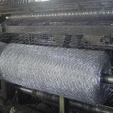 Hexagonal Wire Netting