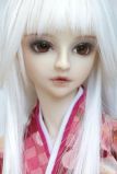 1/3 Ball Jointed Doll (18)