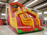 inflatable Slide (AQ1118-1)