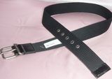 Belt SDC11308