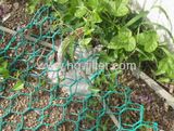 Gabion Wire Mesh