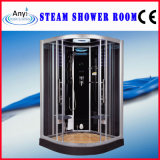 2013 New Design Luxury Large Steam Shower Room (AT-D0903)
