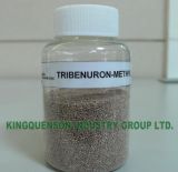 Tribenuron-Methyl 75% WDG