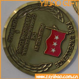 3D Professional Custom Challenge Coin with Brass/Silver/Gold etc (YB-Co-03)