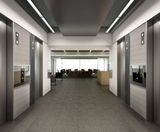 Grps20 Passenger Elevators 1350kgs