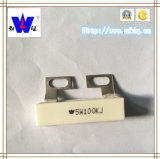 Wirewound Resistor with ISO9001 (RX27-4HL)