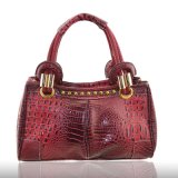 Fashion Handbag (B9316)