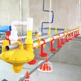 Full Set Chicken Feeding and Drinking Equipment