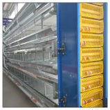 H Type Battery Cage Chicken Shed for Poultry Farm