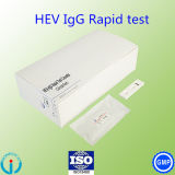 Medical Supplies Hev-Igg/ Igm Hepatitis E Virus Rapid Test Cassette Clinical Lab Reagents
