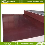 Eucalyptus Hardwood Brown Film Faced Plywood (w15095)