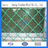 Window Protecton Grid Wire Mesh (factory)