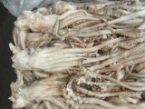 Squid Head (70-90g)