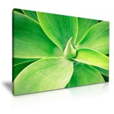 Good Quality Green Plants Giclee Print for Home Decorative