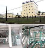 ISO Approved Poultry Feed Production Line