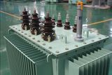 33kv/11kv Oil Immersed Transformer, Power Transformer