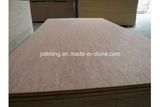 Eucalyptus Core Bintangor Face Plywood