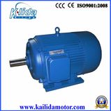 TEFC 3 Phase Motor