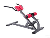 Back Extension/Fitness Equipment/Gym Equipment