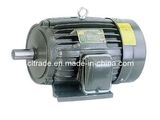 Cast Iron Housing Y Series Electric Motor (Y SERIES) 