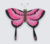 Butterfly Kite -03