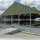Steel Structure Design Poultry Farm Shed