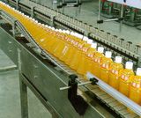 Fruit Juice Processing Plant, Fruit Juice Plant for Sale