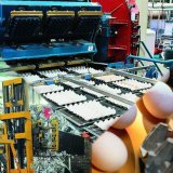 Largest Output Double Rotary Egg Tray Making Machine 2*5000PCS/H