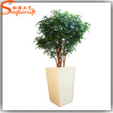 Professional Manufacturer Indoor Decorative Artificial Ficus Tree